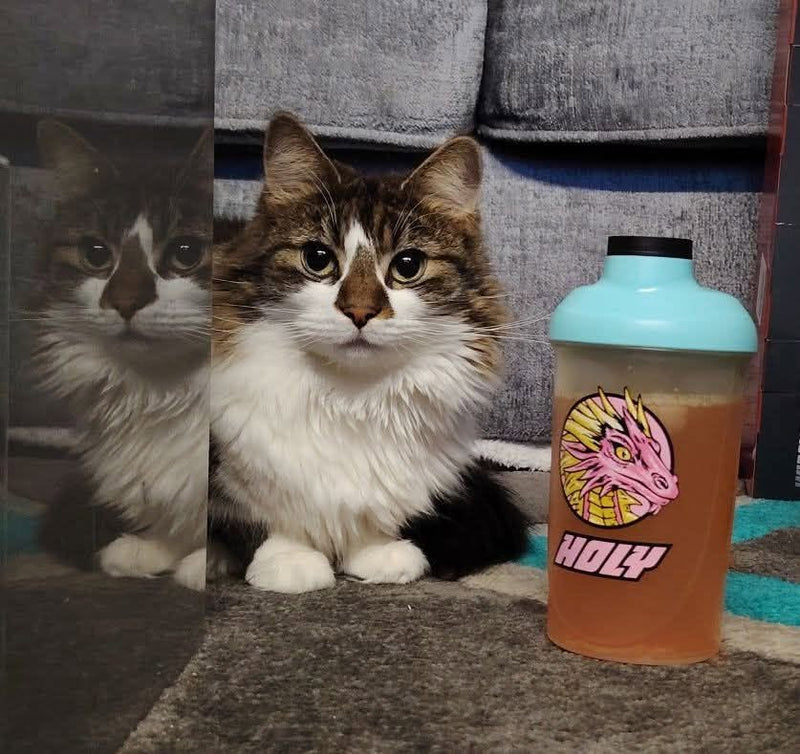 <p>It wouldn’t be the internet without a cat pic - This one supplied by Squad member Hannah</p>