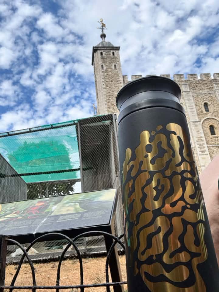 <p>Tower of London and a HOLY Thermo, 2 beautiful pillars! Shoutout to Squad member Ant.</p>