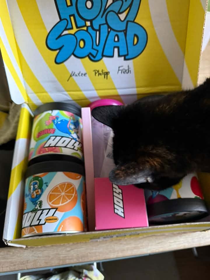 <p>You know what they say, cats love boxes… Squad member Christina’s feline friend is no exception</p>