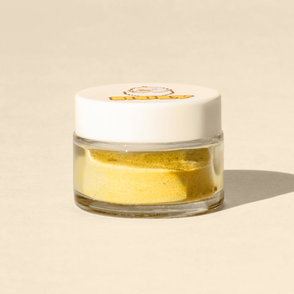 Raptor Egg Powder Holder