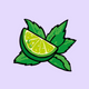 Mojito Macaw